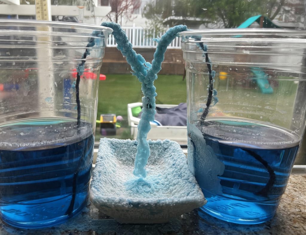 From Dark Caves to Kitchen Counters: Grow Spooky Crystal Stalactites!